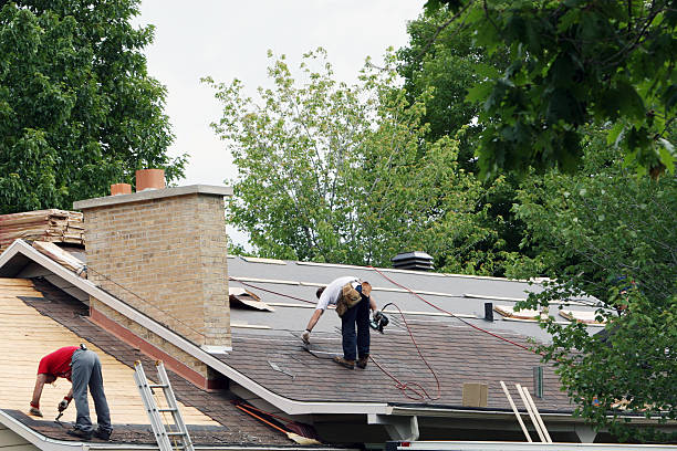 Best Green or Eco-Friendly Roofing Solutions  in Newport, OH