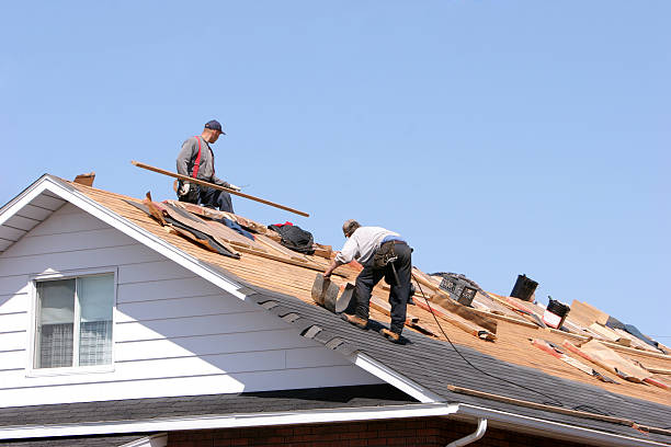 Best Gutter Installation and Repair  in Newport, OH