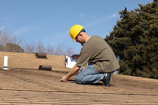 Best Roof Moss and Algae Removal  in Newport, OH